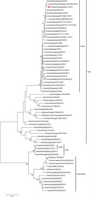 Molecular Characteristics, Antigenicity, Pathogenicity, and Zoonotic Potential of a H3N2 Canine Influenza Virus Currently Circulating in South China